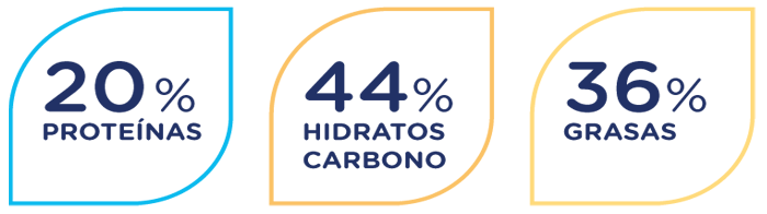 Distribución calórica